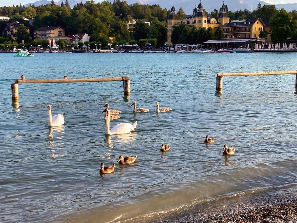 Appartement Mittagskogel Velden am Wörthersee Екстериор снимка